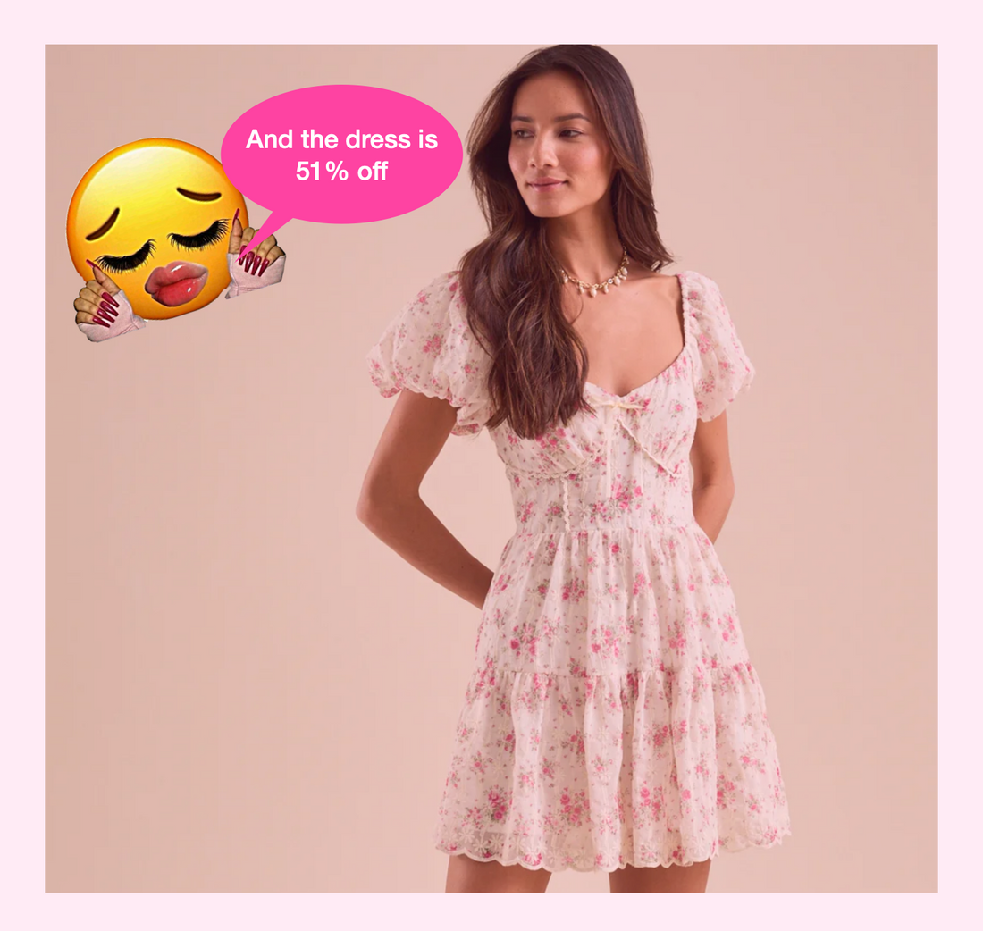 Ainsley Floral Embroidered Mini Dress
